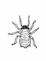 Coloring Pages Aphid Greenfly Aphids Printable Categories Coloringbay Supercoloring sketch template