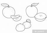Mandarini Frutta Mele Parati Pixers Fornitore Visualizzazione sketch template
