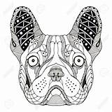 Bulldog Head Getdrawings Drawing sketch template
