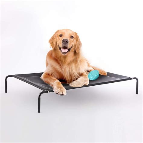 elevated pet beds