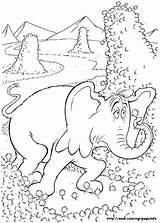 Horton Coloring Getcolorings Hears Who Pages sketch template