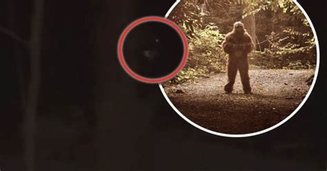 ‘scariest bigfoot sighting ever caught on camera as man