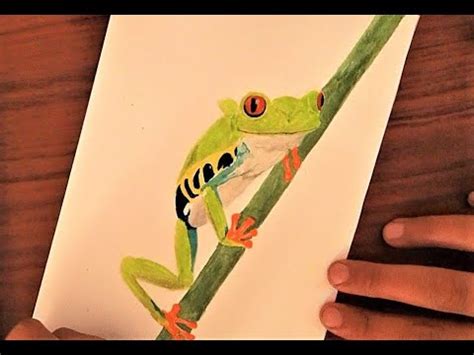 paint  realistic tree frog  watercolors easy steps youtube