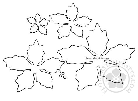 poinsettia flower template ornament craft flowers templates