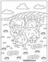 Sheep Flock sketch template