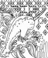 Coloring Narwhal Pages Narwhale Adults Jelly Printable Cool Fun Realistic Kids Unicorn Cute Coloringpages Wixsite sketch template