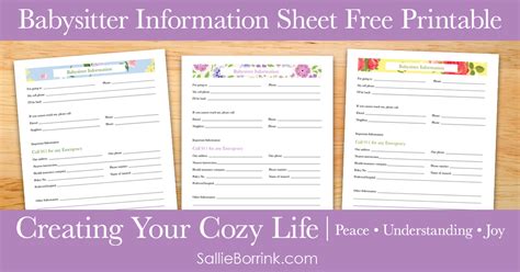 babysitter information sheet printable sallieborrinkcom