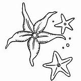Starfish Coloring Pages Star Print Sea Kids Getcolorings Printable Color Momjunction Printables Different Three Ones Little sketch template