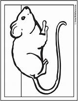 Mouse Coloring Pages Preschool sketch template