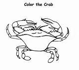 Blue Crab Coloring Pages Color Drawing Animals Sheet Animal Print Back Template sketch template