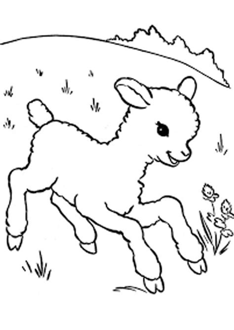 coloring pages baby goat playing coloring pages