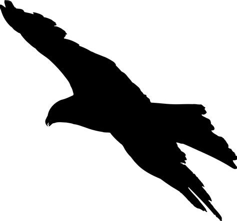 clipart eagle  silhouette