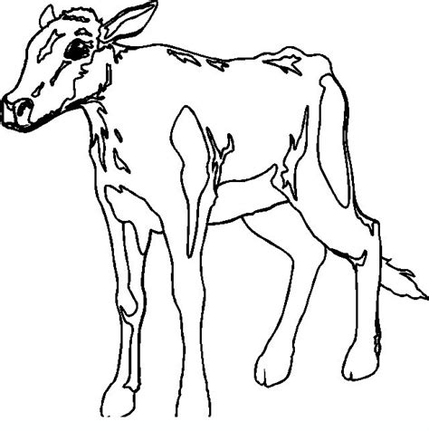 donkey adult coloring pages