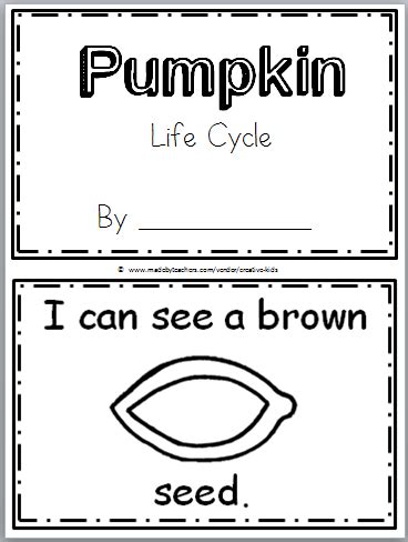 pumpkin life cycle book  pages   teachers
