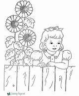 Coloring Pages Flowers Flower Sun sketch template