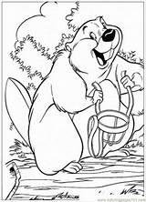 Beaver Coloring Kids Library Pages sketch template