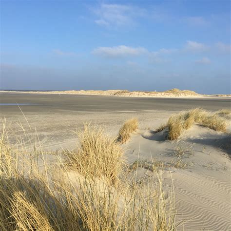 green beach isle  terschelling  netherlands   holland coastal travel prairie