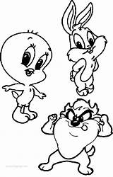 Looney Tunes Warner Wecoloringpage Kunjungi sketch template