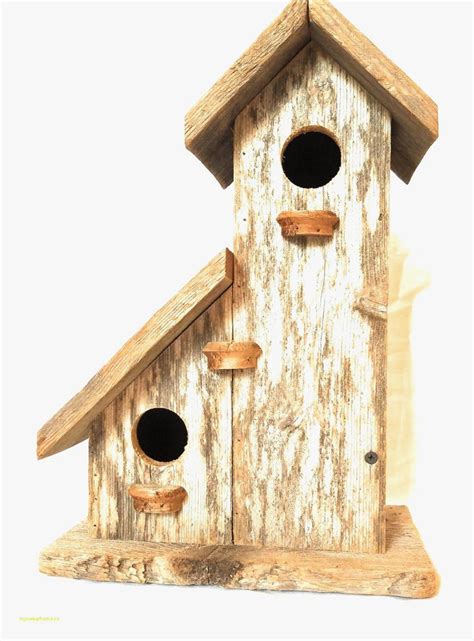 finch birdhouse plans  house decor concept ideas