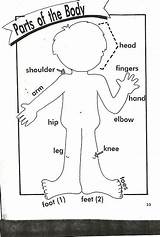 Body Parts Preschool Shoulders Head Knees Toes Activities Coloring Pages English Kids Puzzle Kindergarten Song Jigsaw Worksheet Worksheets Human Drawing sketch template