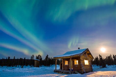 bush cabins  disappearing  alaska avis alaska