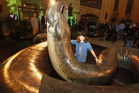 biggest snake    displayed  smithsonian smithsonian institution