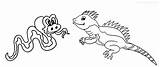 Iguana Coloring Pages Print Cool2bkids Printable sketch template