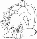 Coloring Pumpkins Printable Patterns Pages Fall Beccy Place Pumpkin Rug Gourd Sheet November Templates Template Block Nice Would 2010 Crafts sketch template