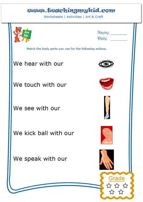 kindergarten learning match  body parts worksheet