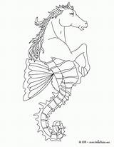 Coloring Pages Hydra Creatures Creature Dragon Mythical Mythological Water Hippocampus Greek Half Sea Drawing Color Mythology Fish Colouring Horse Clipart sketch template