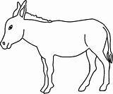 Coloring Asinus Africanus Equus Donkey Mule Eating sketch template