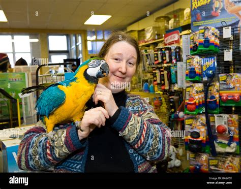 pet shop owner   parrot   sign petswall
