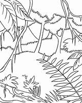 Jungle Coloring Pages Preschoolers Getcolorings Color sketch template