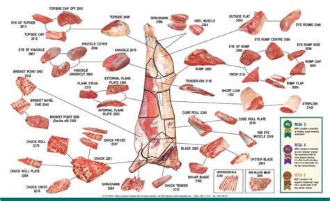 beef cuts wholesale butcher sydney  butchers meat delivery