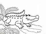 Crocodile Coloring Nile Getcolorings Drawn sketch template