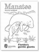 Manatee Coloring Pages Activity Florida Visit Esmer Lisa sketch template