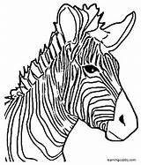 Zebra Head Coloring Pages Getcolorings Color Getdrawings sketch template