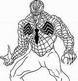 Aranha Homem Desenhos sketch template