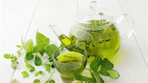 yeşil çayın faydaları nelerdir sağlık haberleri