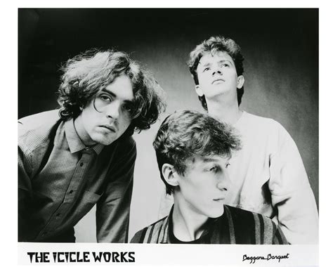 icicle works  arkive