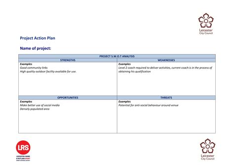 project action plan examples   word examples