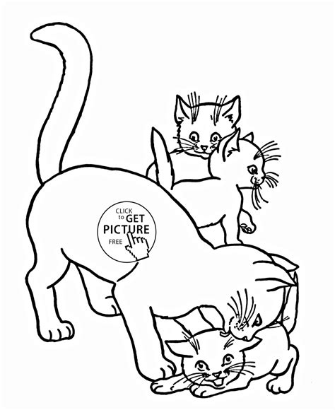 cat cute cat cat animal coloring pages  kids img uber