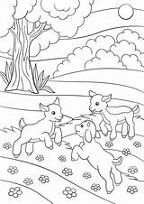 Goat Capra Sveglia Bambino Piccola Coloritura Getcolorings Goatlings sketch template