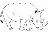 Wild Drawing Animal Rhino Coloring Animals Sketch Line Drawings Easy Baby Sketches Kids Beetle Rhinoceros Pages Printable Colour Pencil Getdrawings sketch template