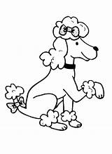 Poodle Coloring Pages Poodles Cartoon Printable Print Paw Getdrawings Drawing Popular Template Color Getcolorings sketch template