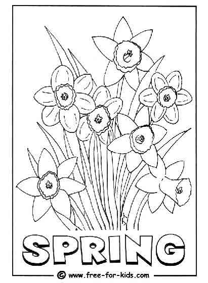 drawing spring season  nature printable coloring pages