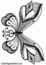 Butterfly Coloring Blackline Adult Book Mandala sketch template