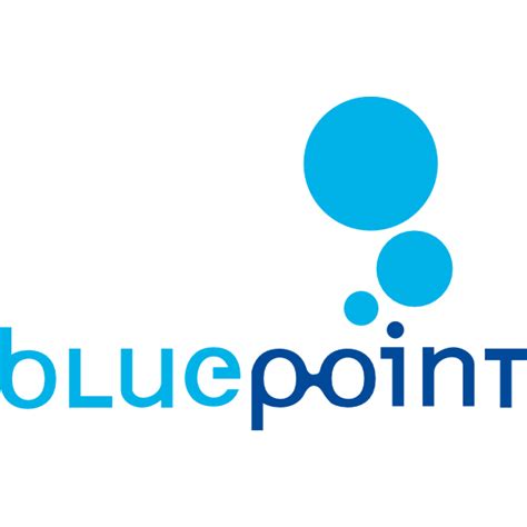 blue point logo  png