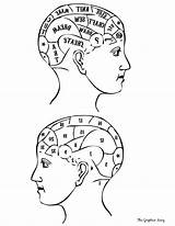 Head Phrenology Printable Crafty Cushion Project Reversed Pdf Click Thegraphicsfairy sketch template