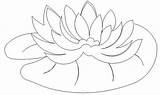 Lily Designlooter Pads sketch template